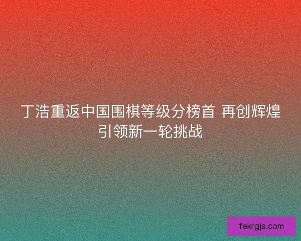 丁浩重返中国围棋等级分榜首 再创辉煌引领新一轮挑战